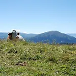 Szálloda Zum Granitzl Mariapfarr