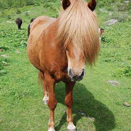 Zum Granitzl Mariapfarr