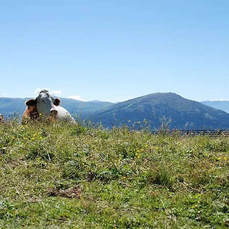 Szálloda Zum Granitzl Mariapfarr