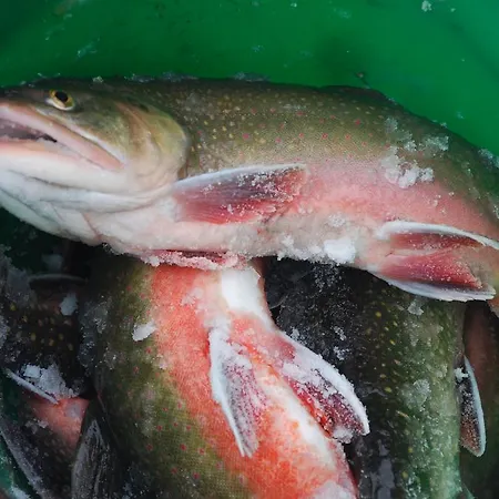 Hotel Zum Granitzl 3*