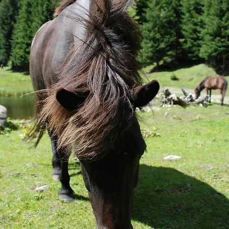 Szálloda Zum Granitzl Mariapfarr