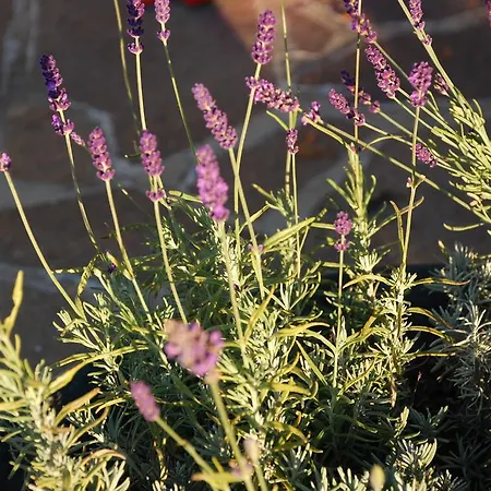 Zum Granitzl Mariapfarr